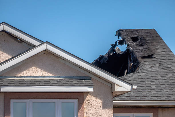 Top rated local Odor Removal specialists in Finksburg, MD